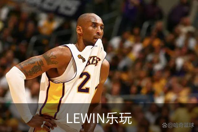 LEWIN乐玩公司形象展示